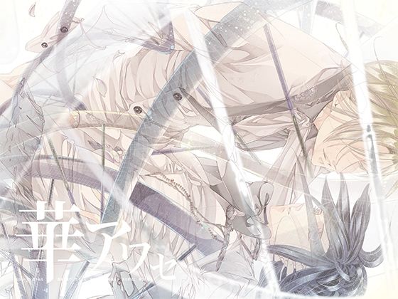 D 697363pl